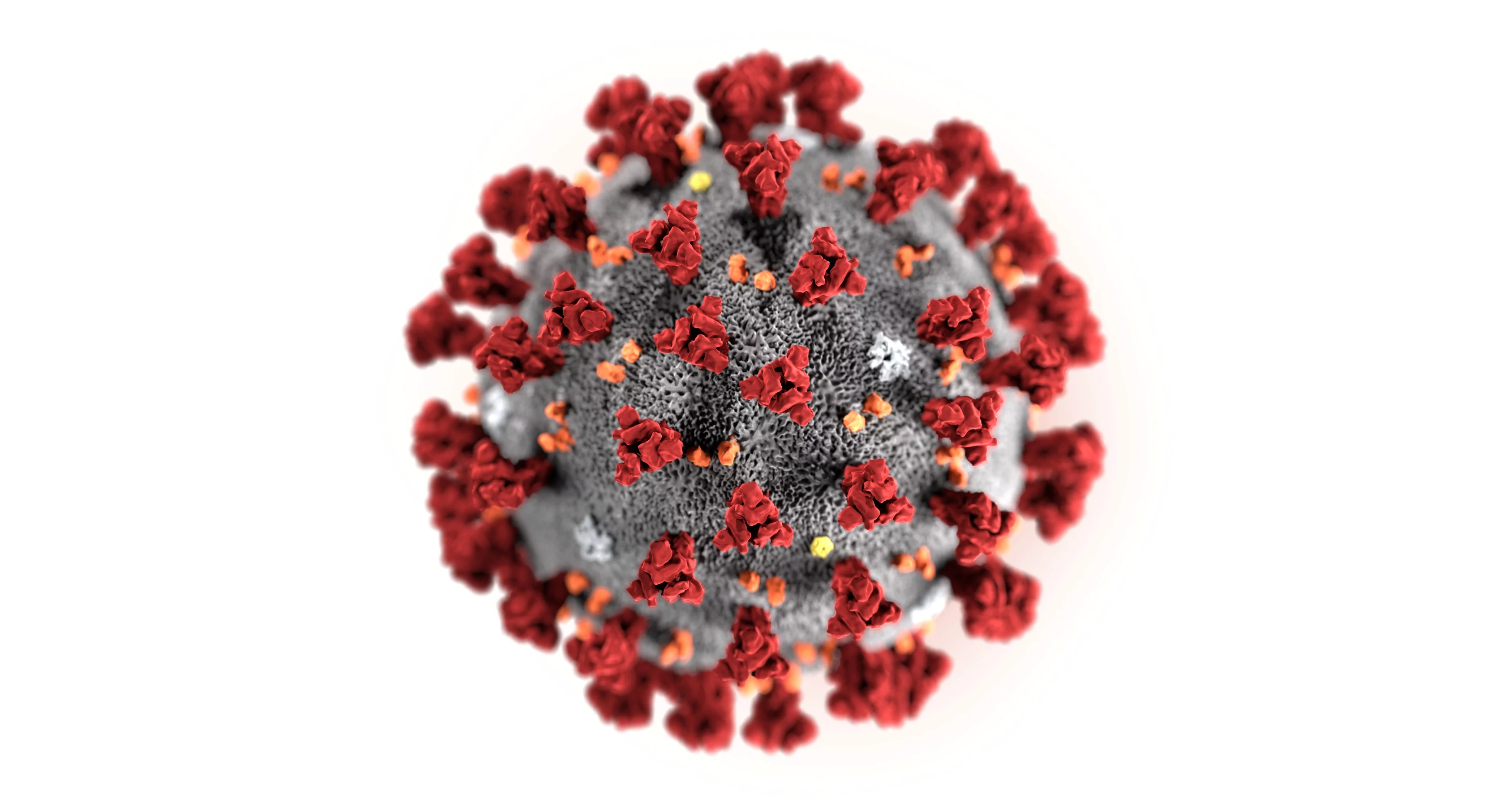 Covid 19 Umbria. Il Virus subdolo e un nuovo male oscuro che avanza.